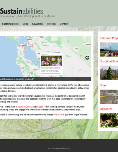 Critical Sustainabilities branding and website