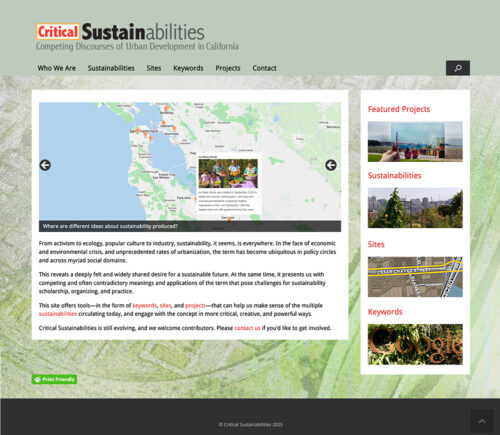 Critical Sustainabilities branding and website