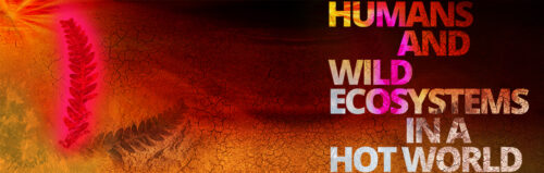 Hot World web banner